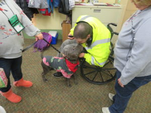 Diamond the dog with a male resident in a wheelchair